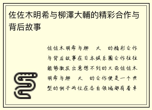 佐佐木明希与柳澤大輔的精彩合作与背后故事